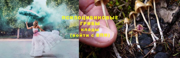 винт Балахна