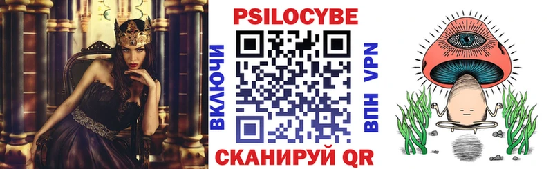Галлюциногенные грибы Magic Shrooms  купить закладку  Ладушкин 